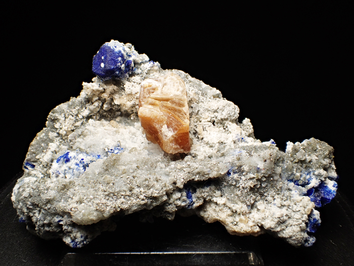 ե˥󻺥饺饤ȡեѥȡѥ饤 (Lazurite, Phlogopite & Pyrite / Afghanistan)-photo0