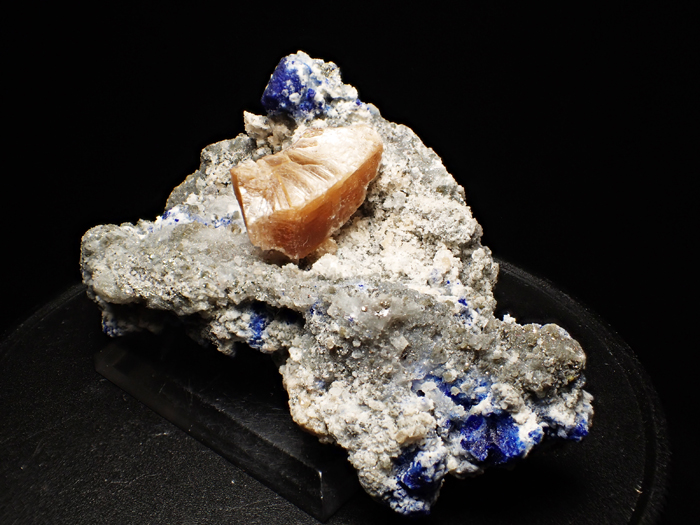 ե˥󻺥饺饤ȡեѥȡѥ饤 (Lazurite, Phlogopite & Pyrite / Afghanistan)-photo1