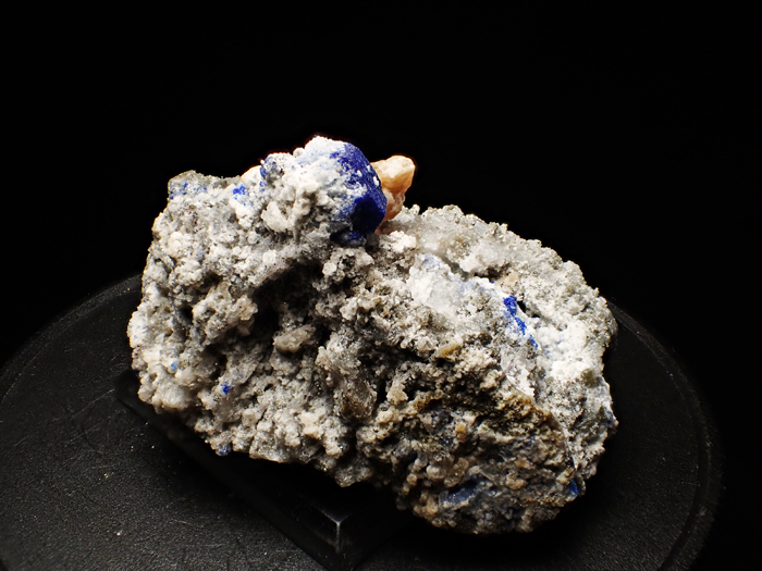 ե˥󻺥饺饤ȡեѥȡѥ饤 (Lazurite, Phlogopite & Pyrite / Afghanistan)-photo5