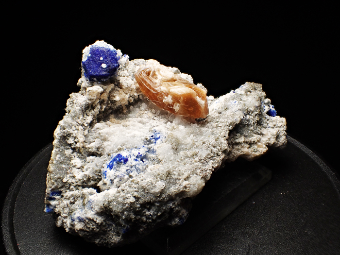ե˥󻺥饺饤ȡեѥȡѥ饤 (Lazurite, Phlogopite & Pyrite / Afghanistan)-photo7