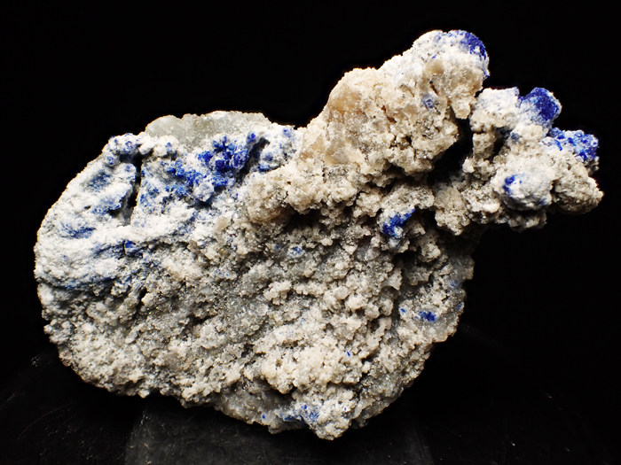 ե˥󻺥饺饤ȡեѥȡѥ饤 (Lazurite, Phlogopite & Pyrite / Afghanistan)-photo8