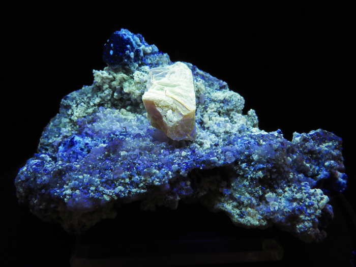 ե˥󻺥饺饤ȡեѥȡѥ饤 (Lazurite, Phlogopite & Pyrite / Afghanistan)-photo15