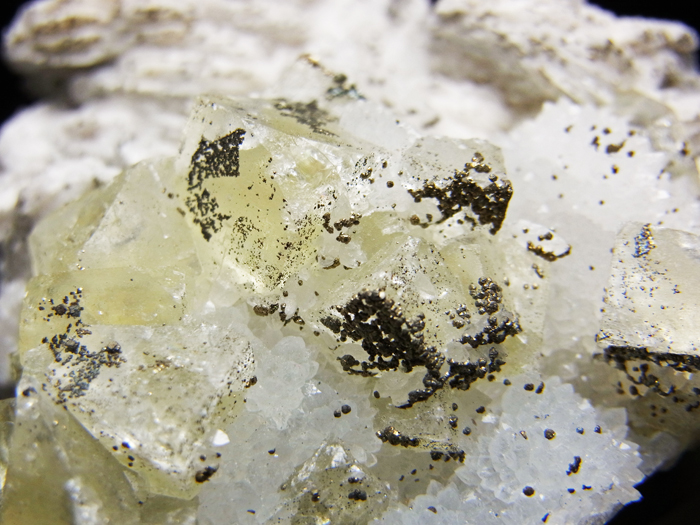 ե饤ȡġХ饤ȡѥ饤 (Fluorite, Quartz, Barite & Pyrite / Czech)-photo15