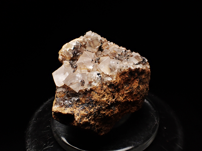 イングランド産フローライト (Fluorite / England)-photo7