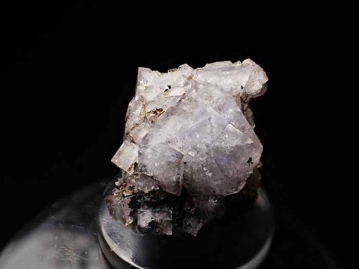 󥰥ɻե饤 (Fluorite / England)-photo2