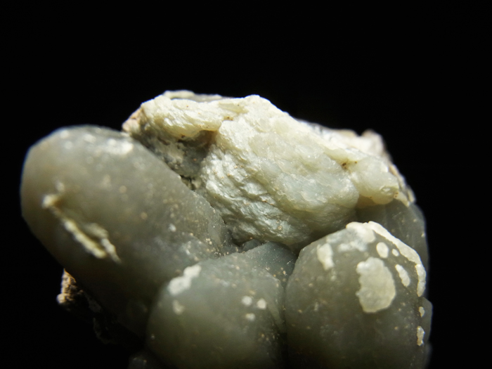 󥴥뻺ġΥ饤ȡ (Quartz, Actinolite & Goethite / Inner Mongolia)-photo11