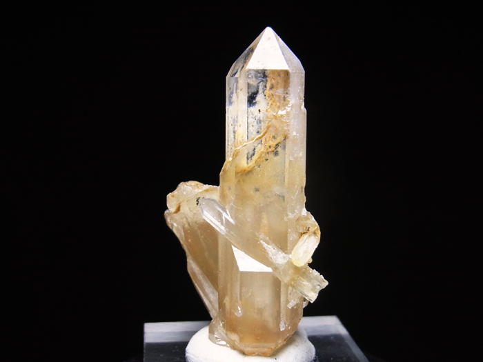 ɸ徾ۻ ȥԥå徽 (Trapiche Quartz / Japan)-photo1