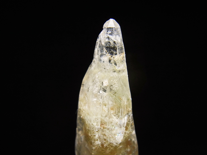 Хåۻ 徽ƩС (Quartz, Tremolite & Actinolite / Japan)-photo8
