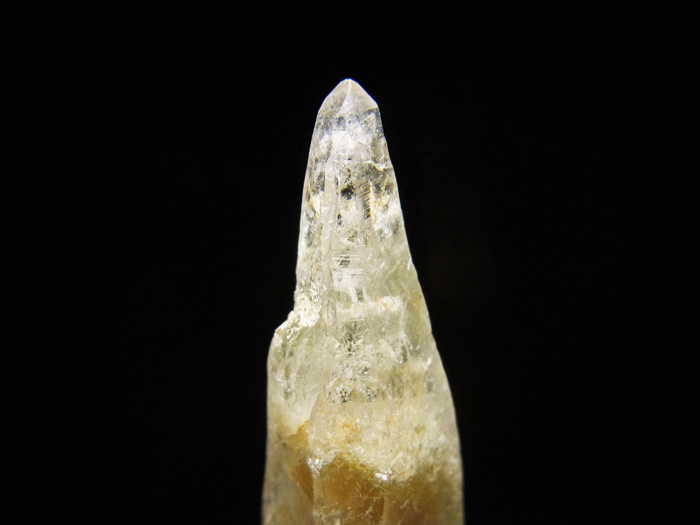 Хåۻ 徽ƩС (Quartz, Tremolite & Actinolite / Japan)-photo12