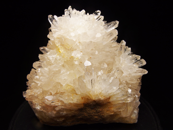 ͷۻ 徽 (Quartz / Japan)-photo4