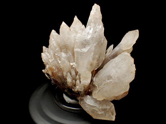 ʬʿۻ 徽 (Quartz / Japan)-photo1