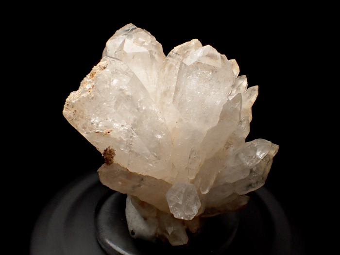 Ĺ 徽 (Quartz/ Japan)-photo7