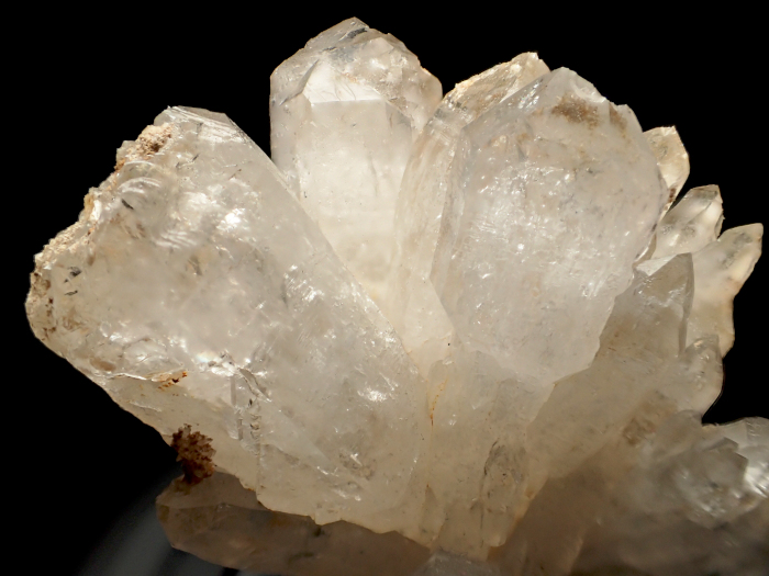 Ĺ 徽 (Quartz/ Japan)-photo12