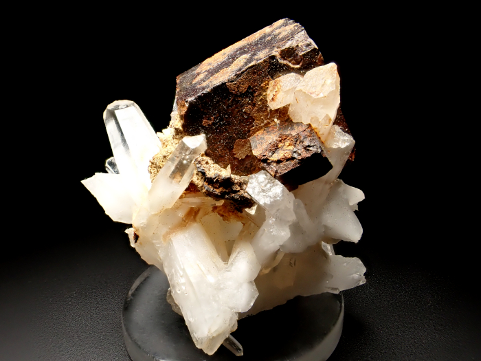 ʬʿۻ徽 㲫Ŵ۲ (Quartz & Goethite Pseudomorph after Pyrite / Japan)-photo8