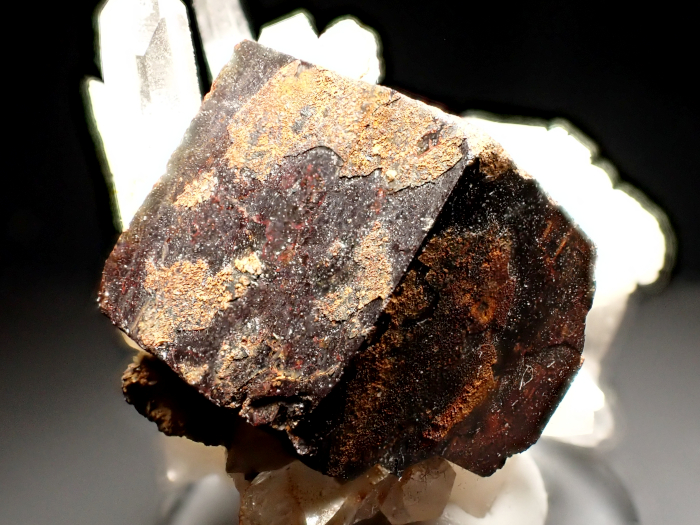 ʬʿۻ徽 㲫Ŵ۲ (Quartz & Goethite Pseudomorph after Pyrite / Japan)-photo11
