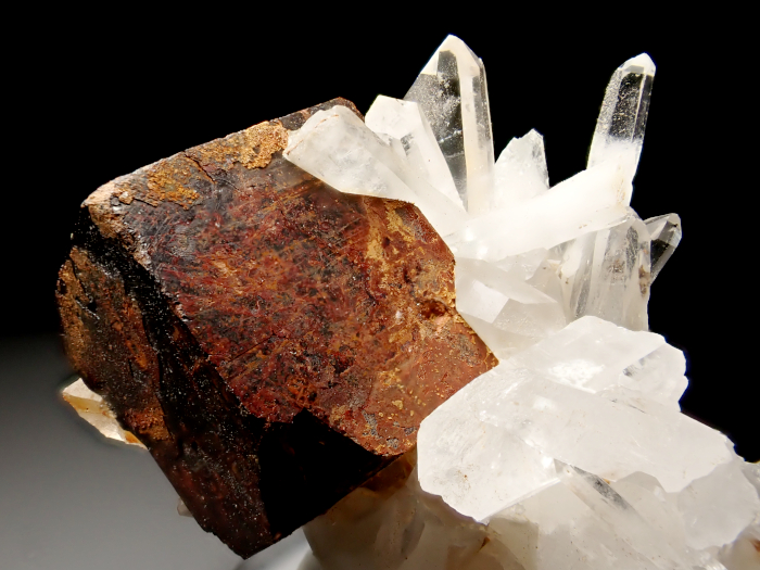 ʬʿۻ徽 㲫Ŵ۲ (Quartz & Goethite Pseudomorph after Pyrite / Japan)-photo12