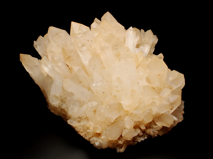 ŸŻ 徽 (Scepter Quartz / Japan)-photo6