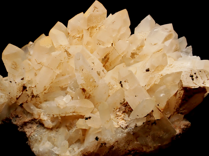 ŸŻ 徽 (Scepter Quartz / Japan)-photo10