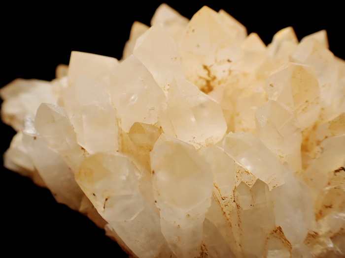 ŸŻ 徽 (Scepter Quartz / Japan)-photo11