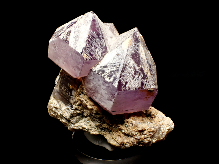 �ڹ񻺥��᥸���� (Amethyst/ South Korea)-photo5
