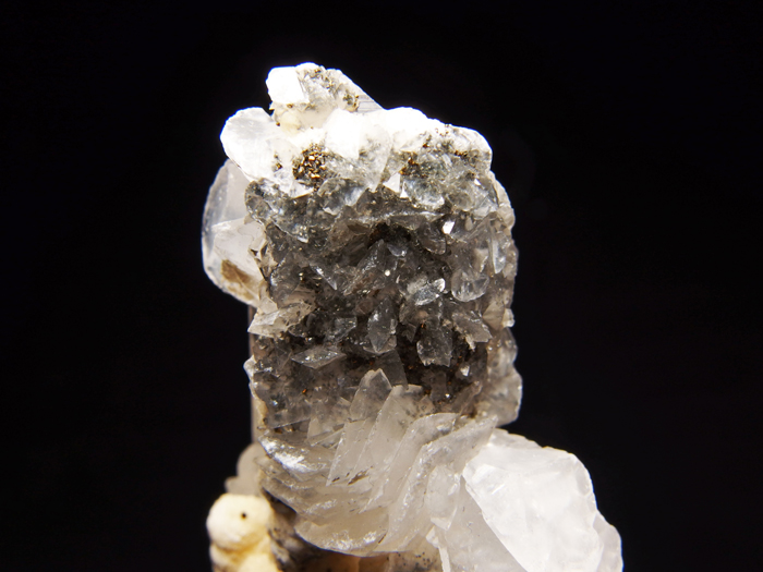 ܻġǥ饤ȡѥ饤ȡ륵 (Quartz, Siderite, Pyrite & Calcite / Kosovo)-photo10