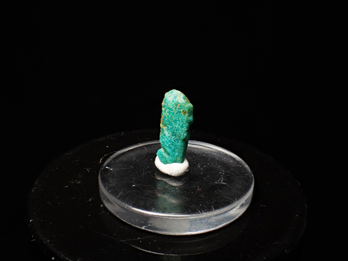 ᥭ 㥢ѥȲ (Turquoise Pseudomorph after Fluorapatite / Mexico)-photo0