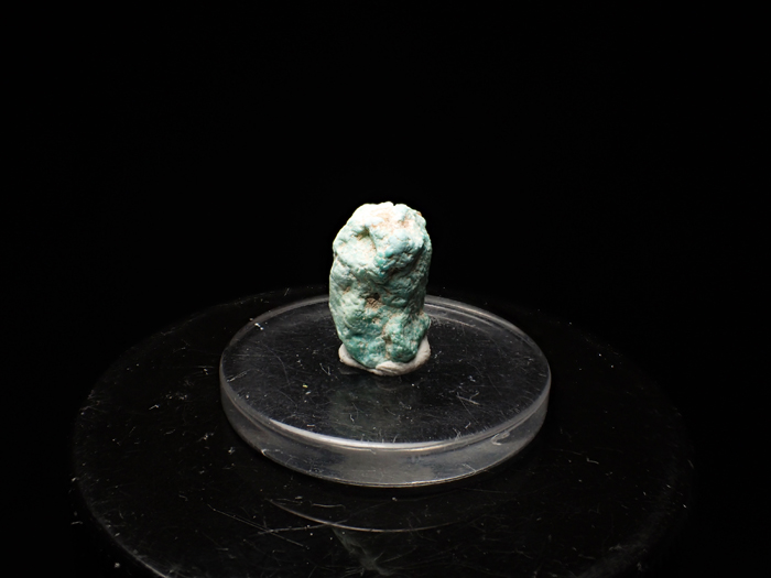 ᥭ 㥢ѥȲ (Turquoise Pseudomorph after Fluorapatite / Mexico)-photo2