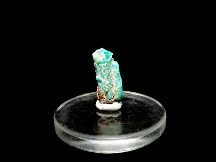 メキシコ産ターコイズ ＜アパタイト仮晶＞ (Turquoise Pseudomorph after Fluorapatite / Mexico)-photo0