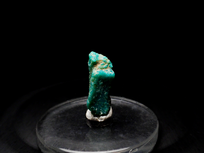 メキシコ産ターコイズ ＜アパタイト仮晶＞ (Turquoise Pseudomorph after Fluorapatite / Mexico)-photo1