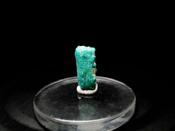 メキシコ産ターコイズ ＜アパタイト仮晶＞ (Turquoise Pseudomorph after Fluorapatite / Mexico)-photo0