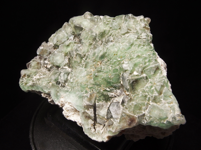 ʥߥӥե饤ȡ硼 (Fluorite & Schorl / Namibia)-photo1