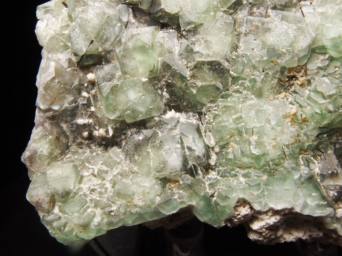 ʥߥӥե饤ȡ硼 (Fluorite & Schorl / Namibia)-photo10