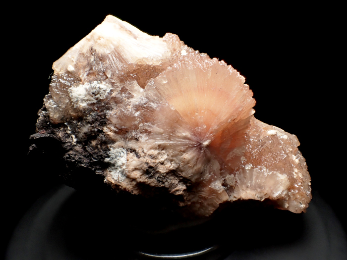 南アフリカ産オルミアイト＆オオエライト (Olmiite & Oyelite / South Africa)-photo4