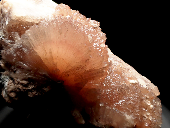 南アフリカ産オルミアイト＆オオエライト (Olmiite & Oyelite / South Africa)-photo10
