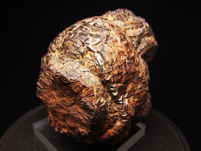 ᥭ ѥ饤Ȳ (Goethite Pseudomorph after Pyrite / Mexico)-photo13