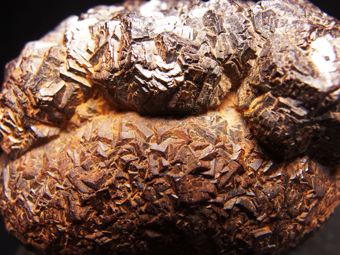 ᥭ ѥ饤Ȳ (Goethite Pseudomorph after Pyrite / Mexico)-photo18