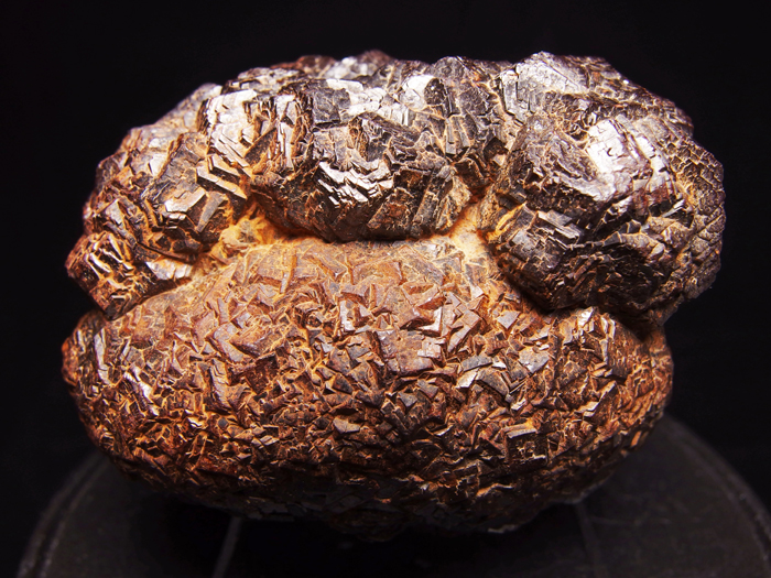 ᥭ ѥ饤Ȳ (Goethite Pseudomorph after Pyrite / Mexico)-photo42