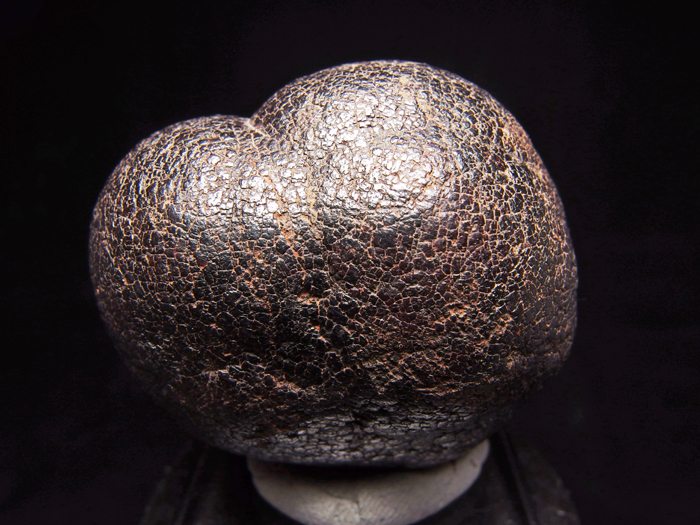 メキシコ産ゲーサイト ＜パイライト仮晶＞ (Goethite Pseudomorph after Pyrite / Mexico)-photo0