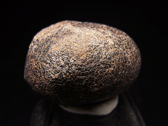 メキシコ産ゲーサイト ＜パイライト仮晶＞ (Goethite Pseudomorph after Pyrite / Mexico)-photo9