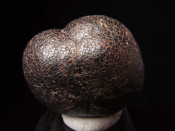 メキシコ産ゲーサイト ＜パイライト仮晶＞ (Goethite Pseudomorph after Pyrite / Mexico)-photo10