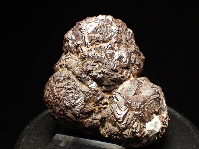 メキシコ産ゲーサイト ＜パイライト仮晶＞ (Goethite Pseudomorph after Pyrite / Mexico)-photo18