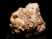 メキシコ産ゲーサイト ＜パイライト仮晶＞ (Goethite Pseudomorph after Pyrite / Mexico)