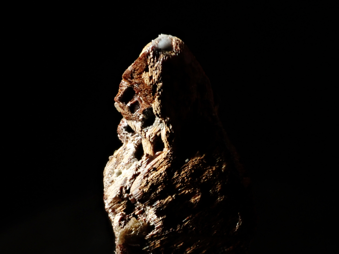 ブラジル産ルチル ＜アナテース仮晶＞ (Rutile Pseudomorph after Anatase / Brazil)-photo5