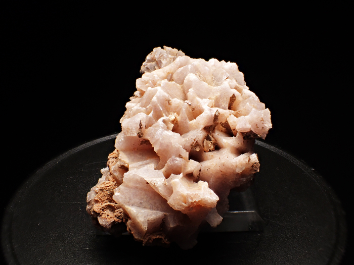 トルコ産アメジスト ＜カルサイト仮晶＞ (Amethyst Pseudomorph after Calcite / Turkey)-photo6