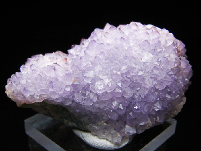 ɻ᥸ȡե饤 (Amethyst on Fluorite / Colorado)-photo4