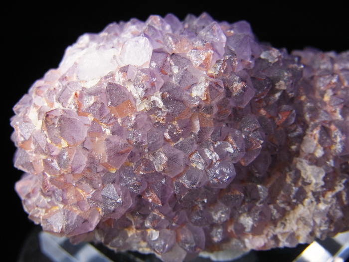 ɻ᥸ȡե饤 (Amethyst on Fluorite / Colorado)-photo14