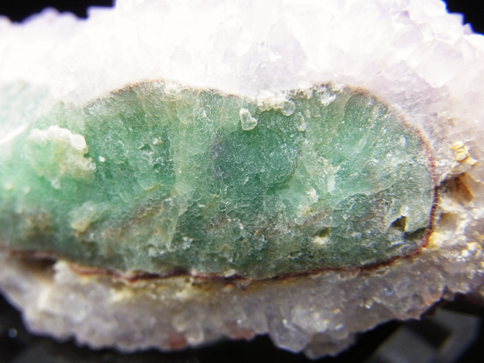 ɻ᥸ȡե饤 (Amethyst on Fluorite / Colorado)-photo21