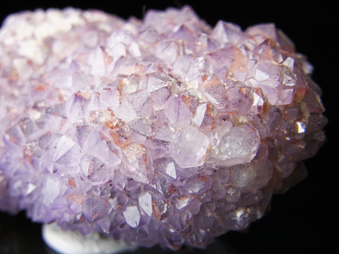 ɻ᥸ȡե饤 (Amethyst on Fluorite / Colorado)-photo23