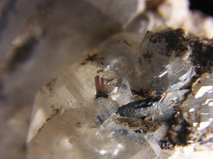 ޥƥ󻺥ġإޥ (Quartz, Rutile & Hematite / Zagi Mountain)-photo15
