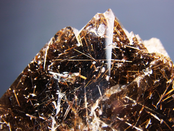 ޥƥ󻺥⡼ġȥե饤 (Smoky Quartz & Astrophyllite / Zagi Mountain)-photo26